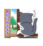 つんでれ猫はる吉 3（個別スタンプ：8）