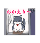 つんでれ猫はる吉 3（個別スタンプ：19）