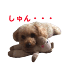 happy dog dog（個別スタンプ：8）