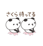 さくらちゃんパンダ panda for Sakura（個別スタンプ：18）