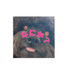 私の名前はプー太です。（個別スタンプ：1）