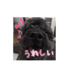 私の名前はプー太です。（個別スタンプ：2）