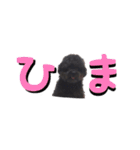 私の名前はプー太です。（個別スタンプ：7）