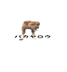 犬ちゃんズ3（個別スタンプ：8）
