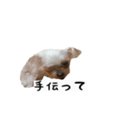 犬ちゃんズ3（個別スタンプ：14）