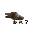 犬ちゃんズ3（個別スタンプ：17）
