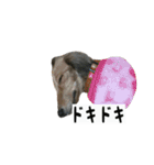 犬ちゃんズ3（個別スタンプ：22）