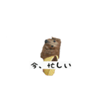 犬ちゃんズ3（個別スタンプ：25）