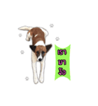 Ha-ma Dog（個別スタンプ：13）