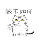 Happy pig cat（個別スタンプ：4）