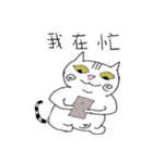 Happy pig cat（個別スタンプ：10）