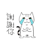 Happy pig cat（個別スタンプ：16）
