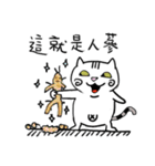 Happy pig cat（個別スタンプ：19）