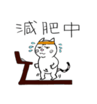Happy pig cat（個別スタンプ：20）
