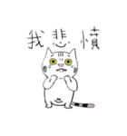 Happy pig cat（個別スタンプ：22）