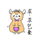 Everyday needs Alpaca TianTian（個別スタンプ：13）