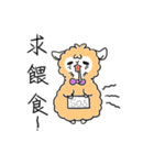 Everyday needs Alpaca TianTian（個別スタンプ：17）
