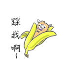 Everyday needs Alpaca TianTian（個別スタンプ：24）
