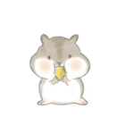 There is a cute hamster called Yuanyuan.（個別スタンプ：1）