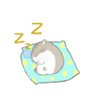 There is a cute hamster called Yuanyuan.（個別スタンプ：5）