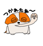 ペキの1日（個別スタンプ：14）