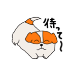 ペキの1日（個別スタンプ：19）