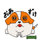 ペキの1日（個別スタンプ：24）