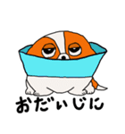 ペキの1日（個別スタンプ：31）