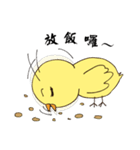 Chicken Star-1（個別スタンプ：36）