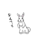 うさぎ(ウザめ)（個別スタンプ：39）