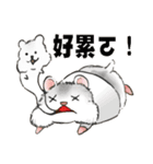 Hello Hamster（個別スタンプ：7）