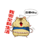 Hello Hamster（個別スタンプ：26）