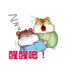 Hello Hamster（個別スタンプ：28）