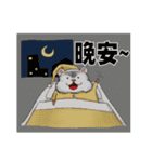 Hello Hamster（個別スタンプ：36）