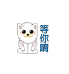 DongDong01（個別スタンプ：6）