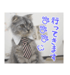 猫カフェロンロン広島店スタンプ（個別スタンプ：2）