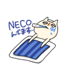 NECOスタンプ（個別スタンプ：35）