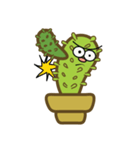 Cuties cactus（個別スタンプ：4）