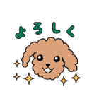 トイプードル（レッド＆ブラックタン）（個別スタンプ：3）