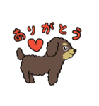 トイプードル（レッド＆ブラックタン）（個別スタンプ：7）
