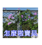 簡単見積もり4（個別スタンプ：1）