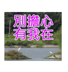 簡単見積もり4（個別スタンプ：2）