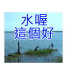 簡単見積もり4（個別スタンプ：5）