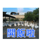 簡単見積もり4（個別スタンプ：10）