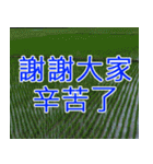 簡単見積もり4（個別スタンプ：14）