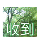 簡単見積もり4（個別スタンプ：17）