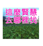 簡単見積もり4（個別スタンプ：18）