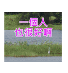 簡単見積もり4（個別スタンプ：25）