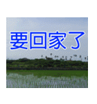 簡単見積もり4（個別スタンプ：31）