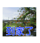簡単見積もり4（個別スタンプ：32）